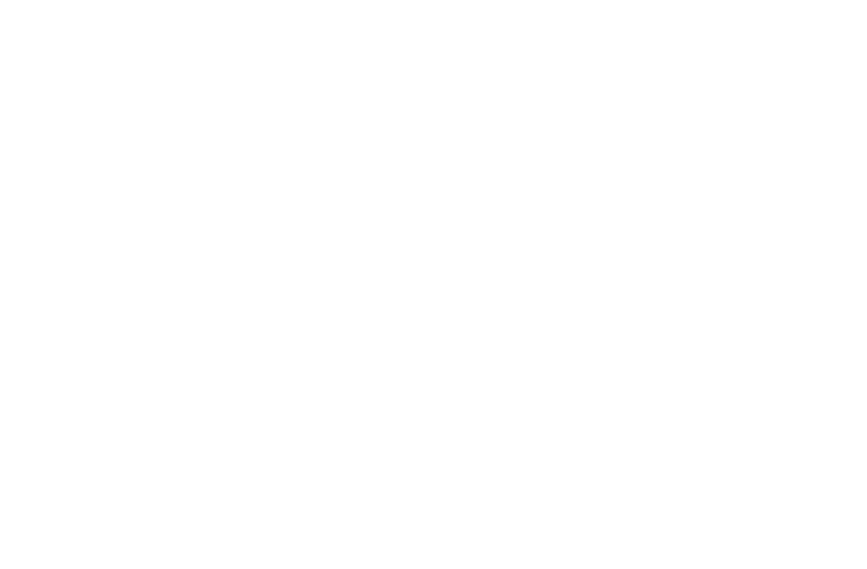 Logo Footer