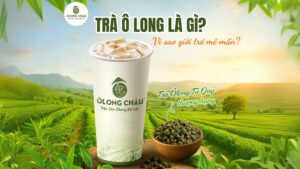 TRÀ Ô LONG LÀ GÌ? VÌ SAO THỨC UỐNG NÀY KHIẾN CẢ GIỚI TRẺ LẪN CHUYÊN GIA MÊ MẨN?