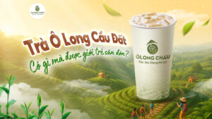 Trà Ô Long Cầu Đất Có Gì Mà Được Giới Trẻ Săn Đón