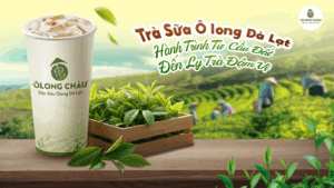 Trà Sữa Ô Long Đà Lạt - Hành Trình Từ Cầu Đất Đến Ly Trà Đậm Vị