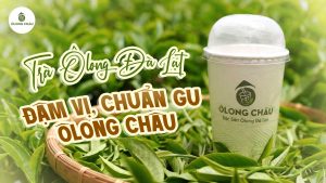 Trà Ô Long Đà Lạt Bí quyết giữ trọn nguyên bản và chiều sâu hương vị tại Ôlong Châu