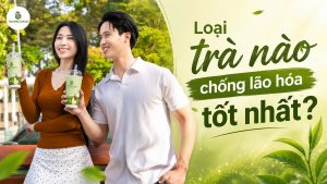 Trà Ô Long, Trà Đen Hay Trà Xanh: Đâu Là Lựa Chọn Phù Hợp Cho Hành Trình Chống Lão Hóa?