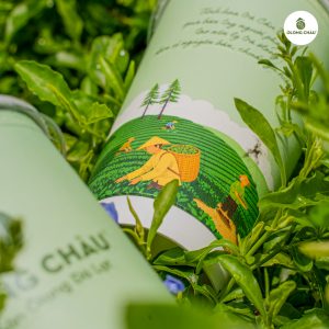 Nhiều người lựa chọn trà ô long chống oxy hóa như một phần của lối sống cân bằng hơn. 