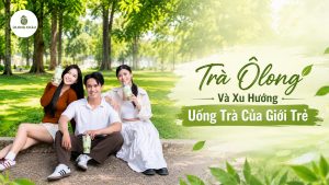 Trà Ô Long Và Xu Hướng Uống Trà Của Giới Trẻ