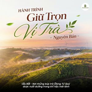 Hành Trình Gìn Giữ Chất Trà Từ Cầu Đất