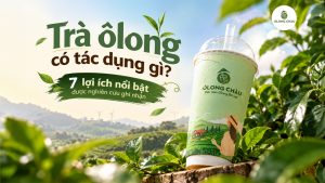 Trà ôlong có tác dụng gì? 7 lợi ích được nghiên cứu ghi nhận